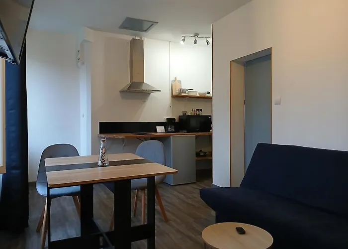 Διαμέρισμα T2 Meuble - Entree Independante La Boissière-des-Landes